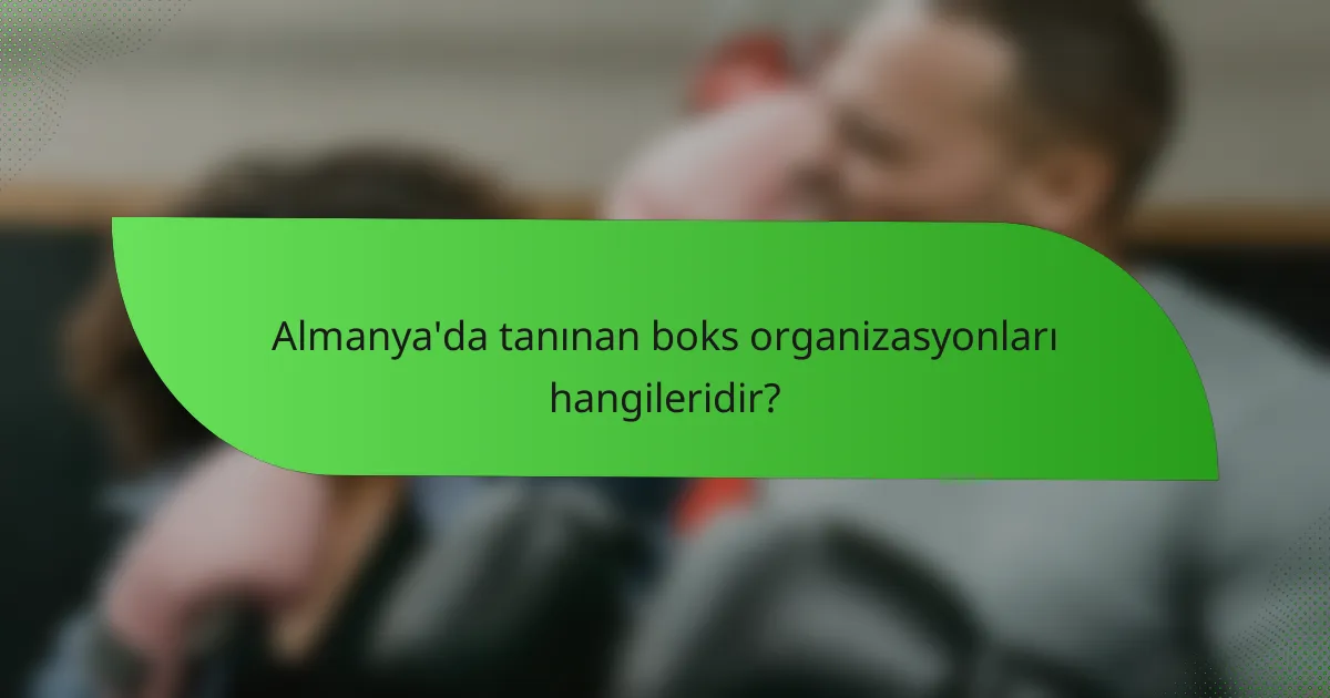 Almanya'da tanınan boks organizasyonları hangileridir?