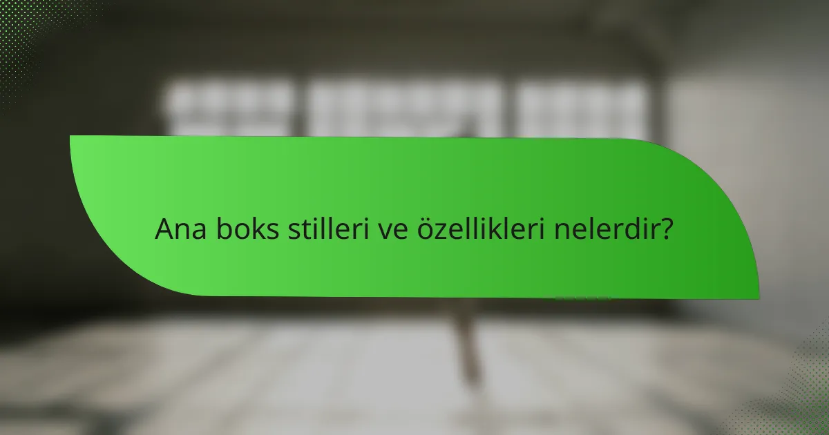 Ana boks stilleri ve özellikleri nelerdir?
