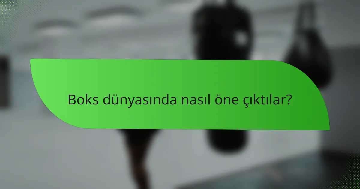 Boks dünyasında nasıl öne çıktılar?
