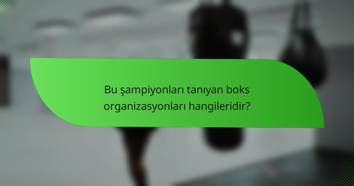 Bu şampiyonları tanıyan boks organizasyonları hangileridir?