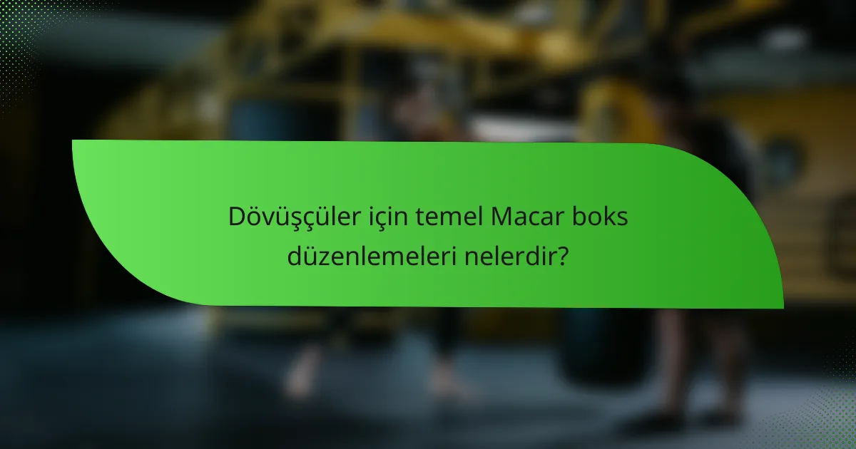 Dövüşçüler için temel Macar boks düzenlemeleri nelerdir?
