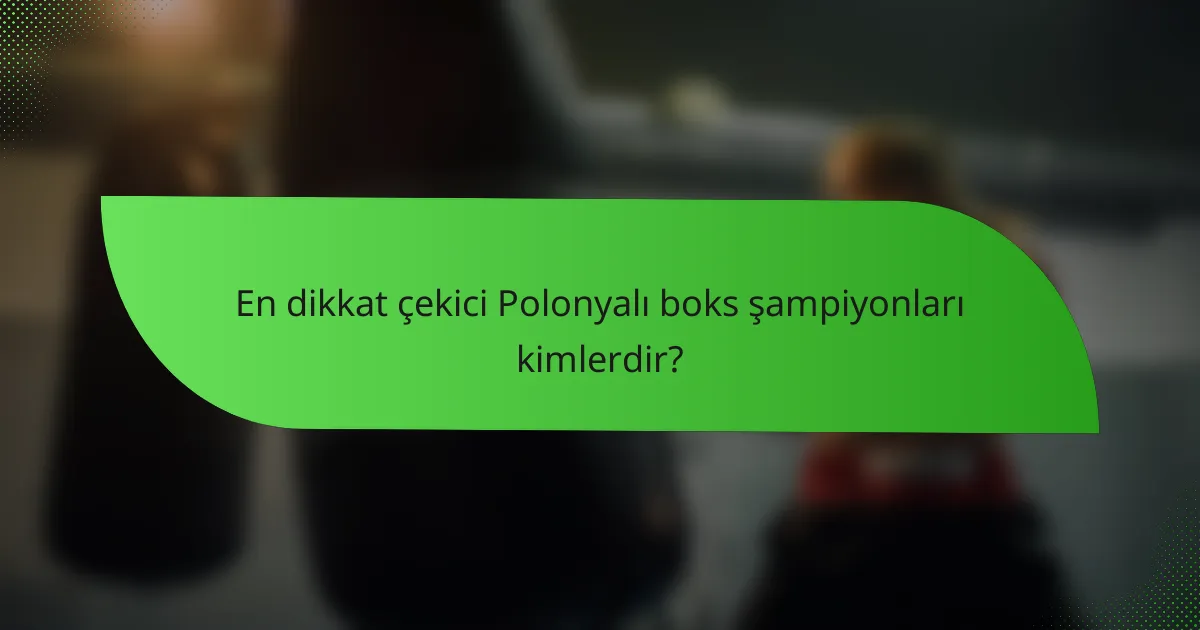 En dikkat çekici Polonyalı boks şampiyonları kimlerdir?