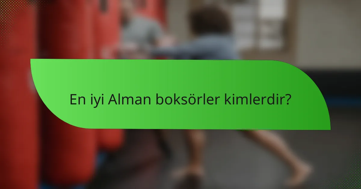 En iyi Alman boksörler kimlerdir?