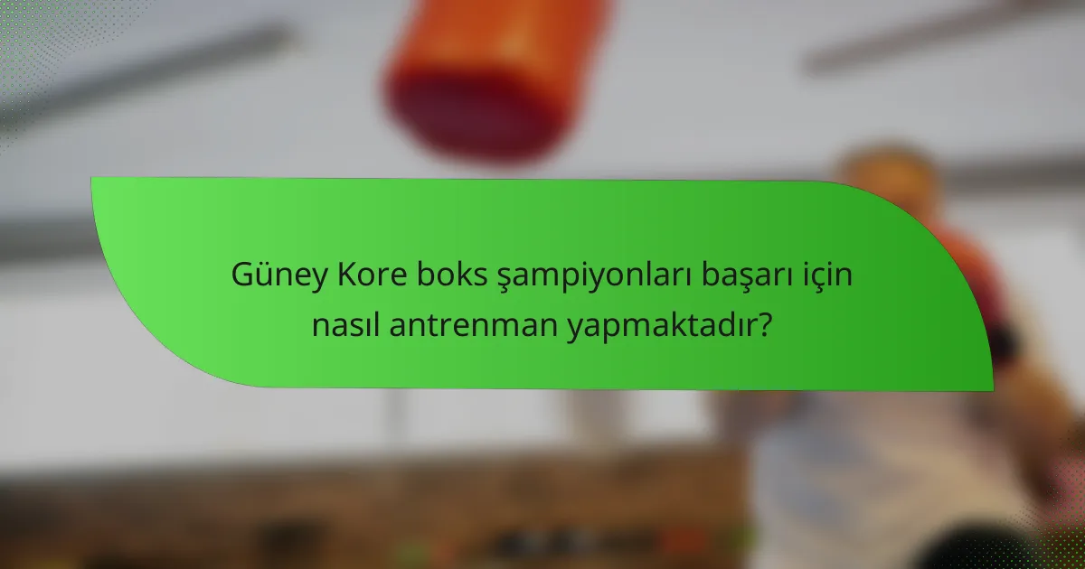 Güney Kore boks şampiyonları başarı için nasıl antrenman yapmaktadır?