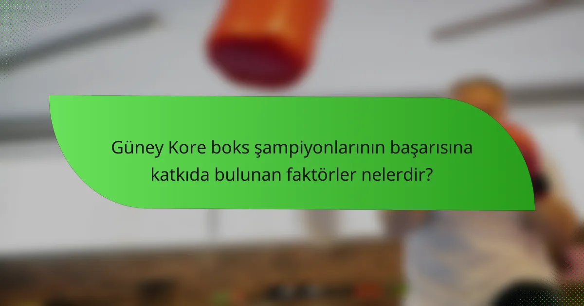 Güney Kore boks şampiyonlarının başarısına katkıda bulunan faktörler nelerdir?