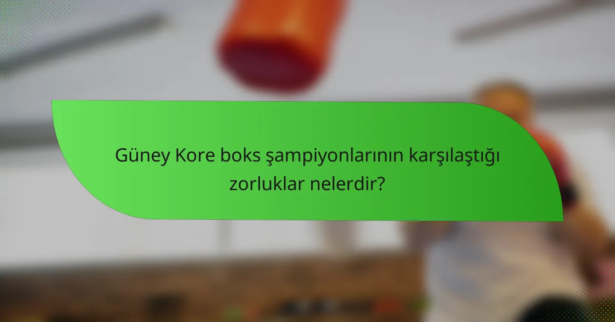 Güney Kore boks şampiyonlarının karşılaştığı zorluklar nelerdir?