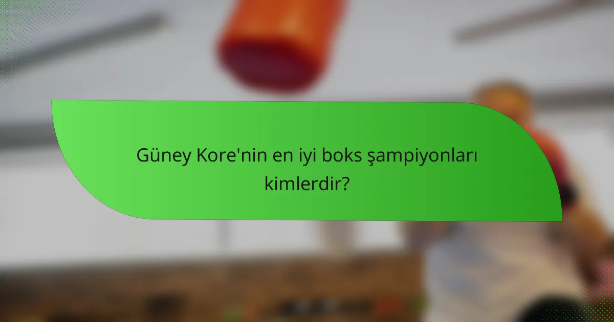 Güney Kore'nin en iyi boks şampiyonları kimlerdir?