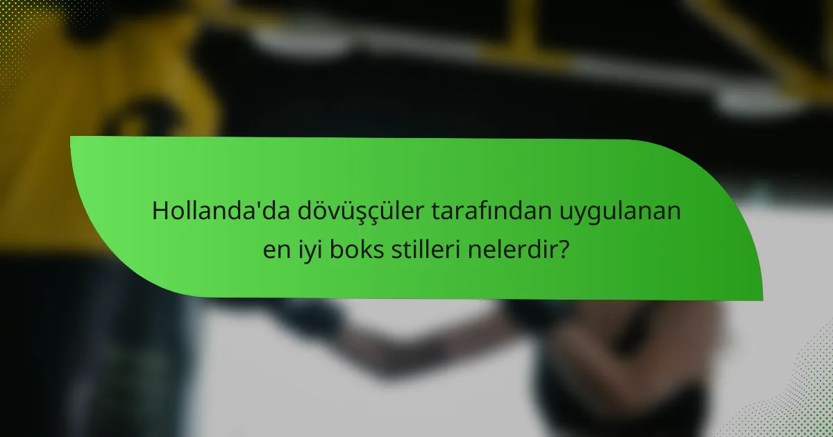 Hollanda'da dövüşçüler tarafından uygulanan en iyi boks stilleri nelerdir?