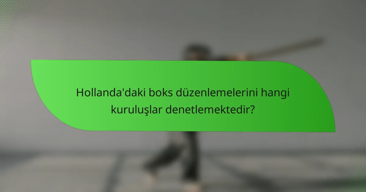 Hollanda'daki boks düzenlemelerini hangi kuruluşlar denetlemektedir?