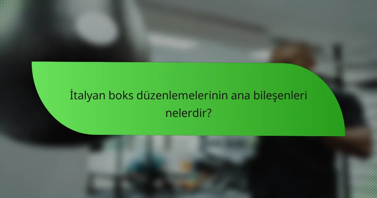 İtalyan boks düzenlemelerinin ana bileşenleri nelerdir?
