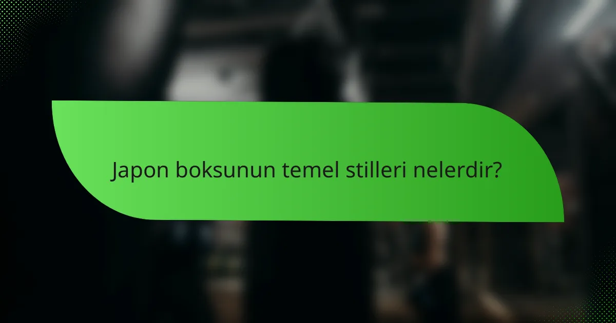 Japon boksunun temel stilleri nelerdir?