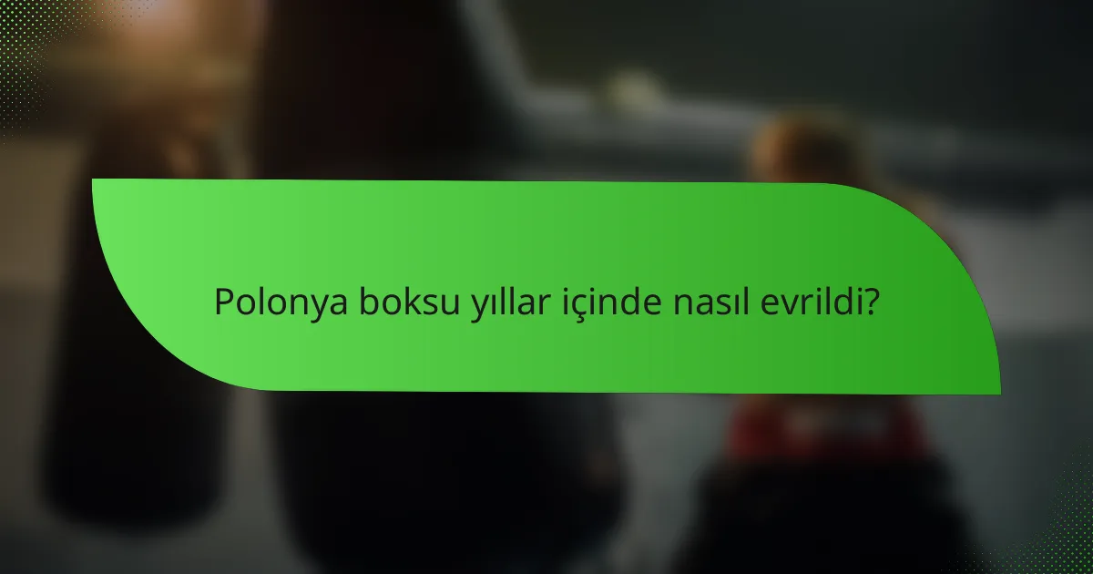 Polonya boksu yıllar içinde nasıl evrildi?