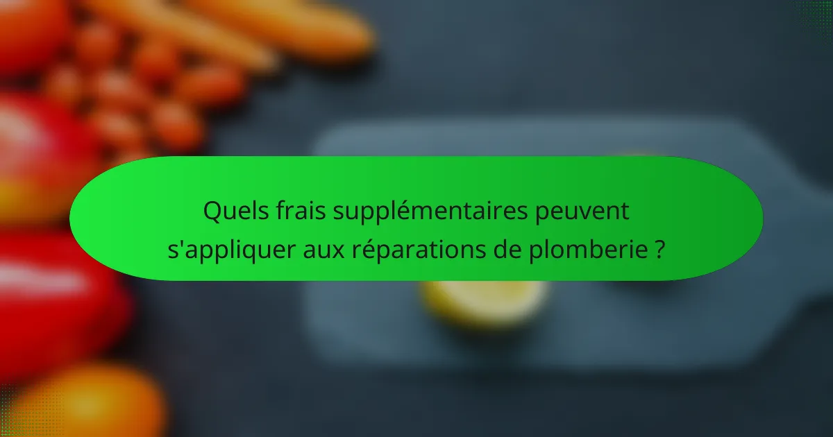 Quels frais supplémentaires peuvent s'appliquer aux réparations de plomberie ?