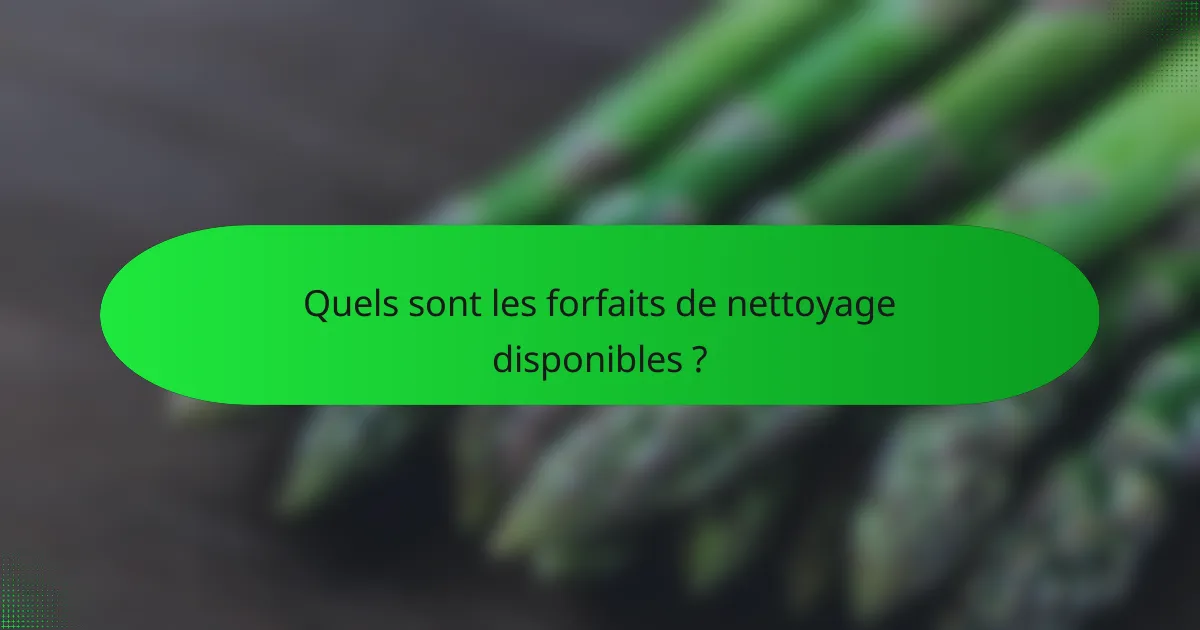 Quels sont les forfaits de nettoyage disponibles ?