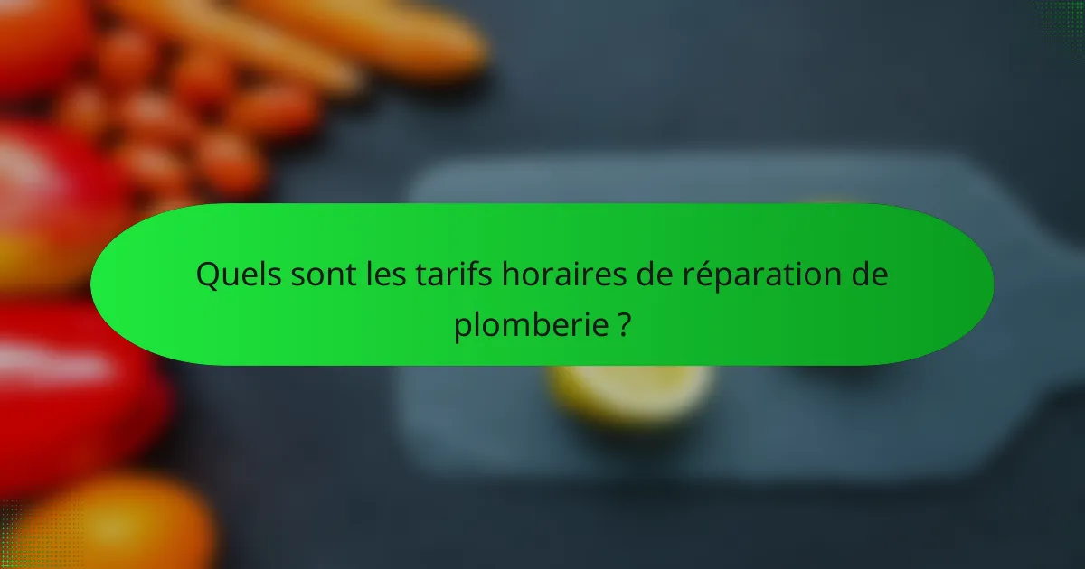 Quels sont les tarifs horaires de réparation de plomberie ?