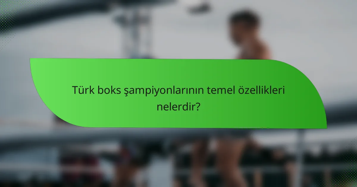 Türk boks şampiyonlarının temel özellikleri nelerdir?