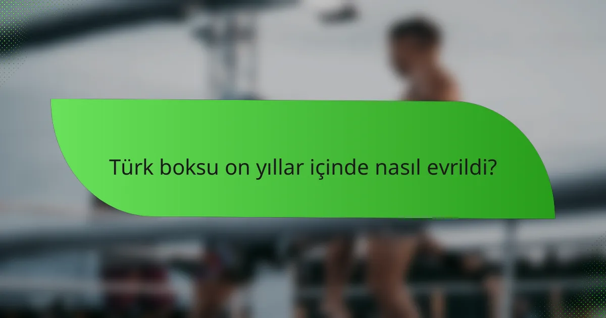 Türk boksu on yıllar içinde nasıl evrildi?
