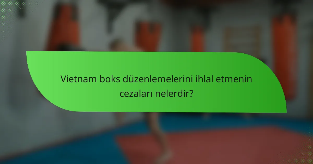 Vietnam boks düzenlemelerini ihlal etmenin cezaları nelerdir?